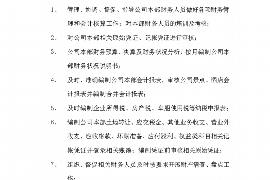 呼伦贝尔为什么选择专业追讨公司来处理您的债务纠纷？